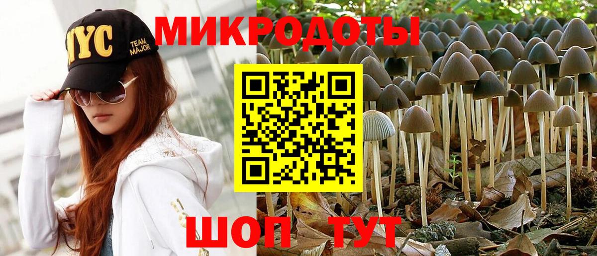 Псилоцибиновые грибы MAGIC MUSHROOMS Сланцы
