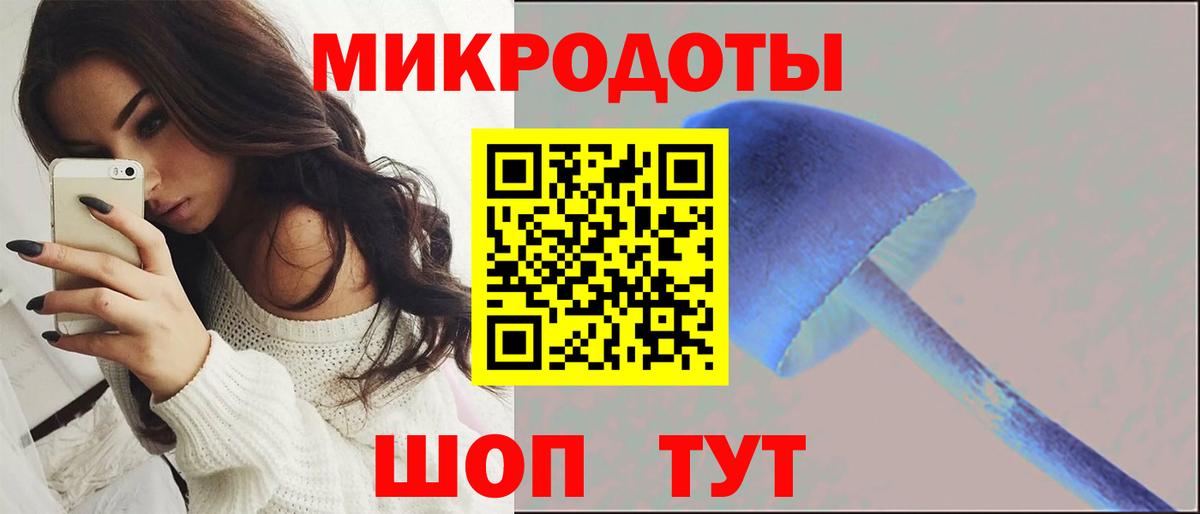 Сланцы  Псилоцибиновые грибы мухоморы  Вход с VPN  Псилоцибиновые грибы MAGIC MUSHROOMS 
